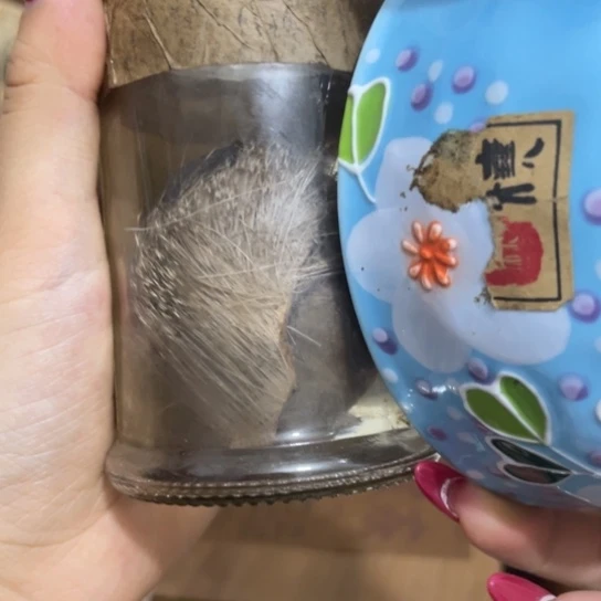 茶杯紫砂我的天呐