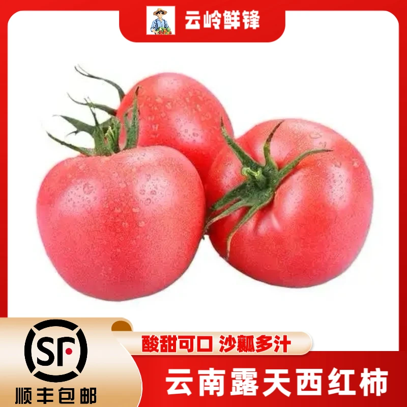 顺丰包邮云南露天沙瓤西红柿新鲜生吃老品种番茄水果自然熟番茄