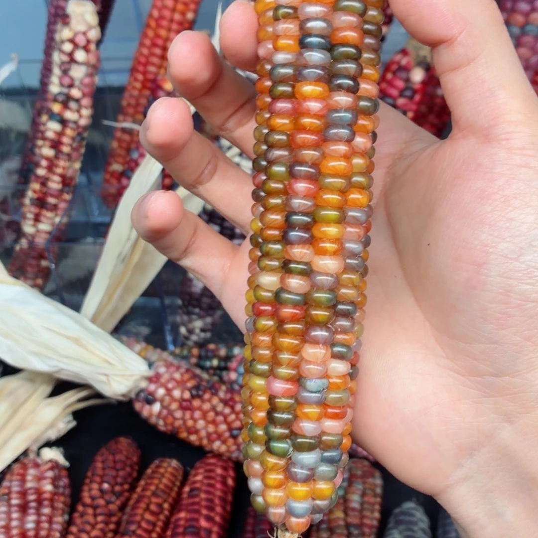 时***对吊坠白玉菩提文玩精品文玩精品