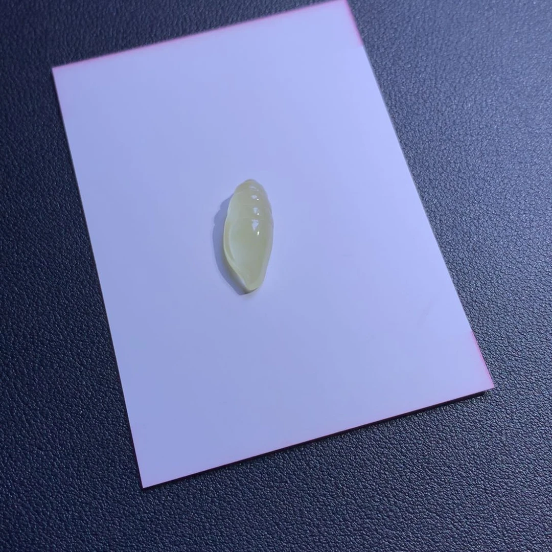 ?缅甸翡翠冰绿海螺