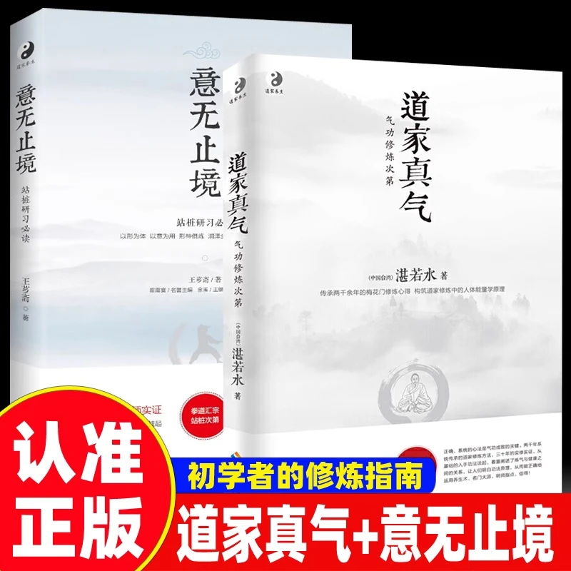 道家真气 意无止境 初学者修炼入门指南 中国武术气功养生书籍