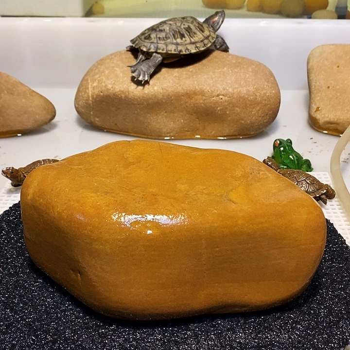 【闪购商品】E*生乌龟爬台石