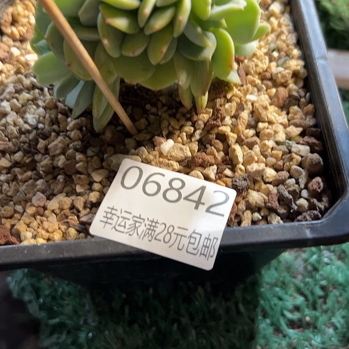 糯****幸运儿是一位非常优秀且