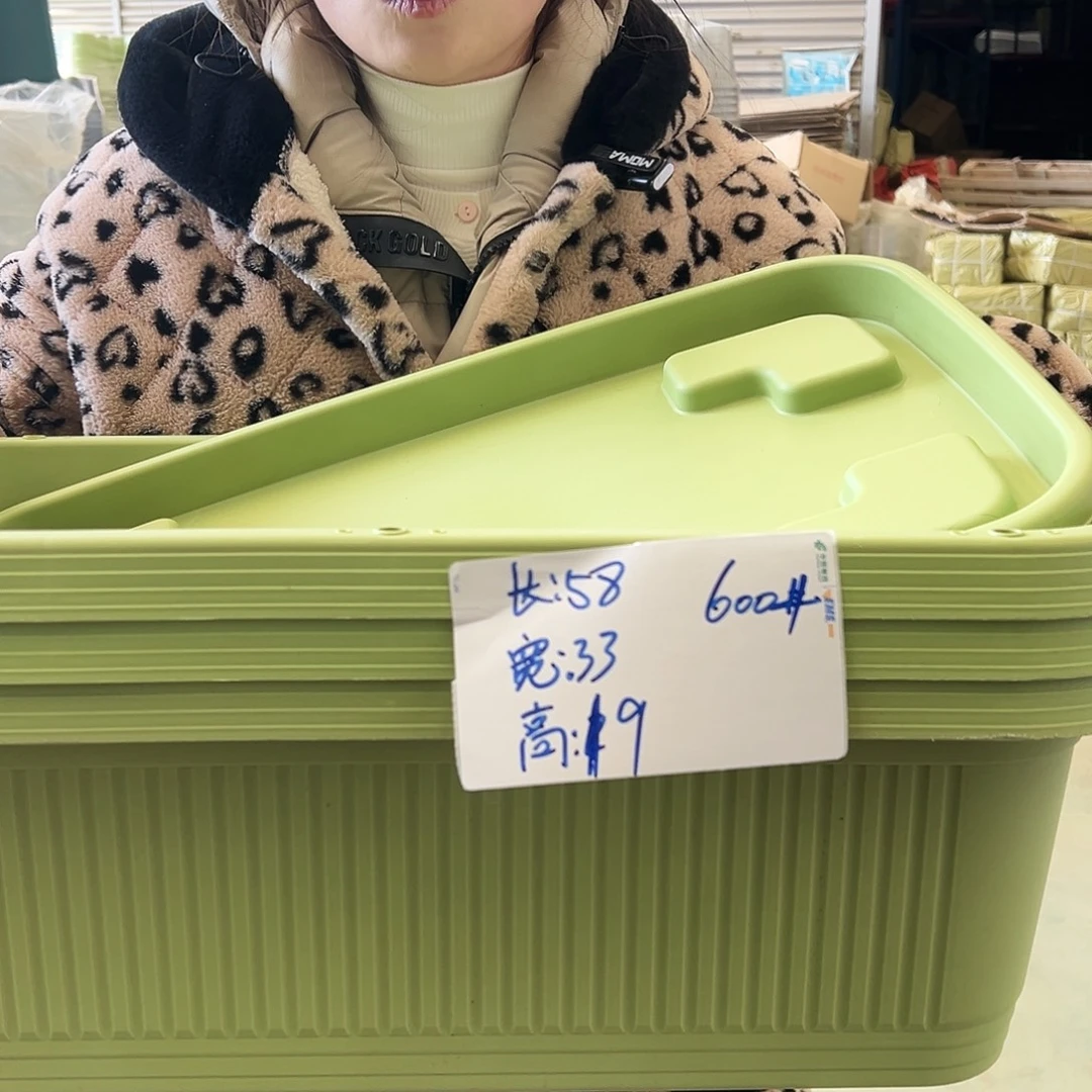 菜盆600#果绿3个（含托）