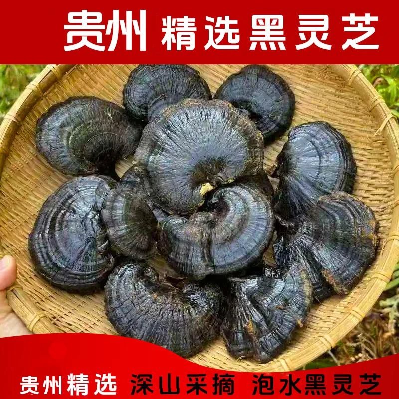 黑灵芝正宗贵州正品甄选深山采摘防送礼年货泡茶好物煲汤泡水靓货