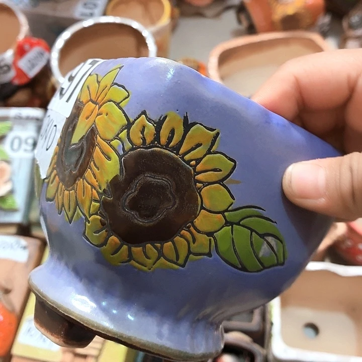 多肉花盆满15包邮