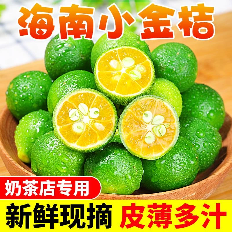 海南小金桔5斤新鲜青金桔柠檬水果奶茶专用当季小青柠桔金橘整箱