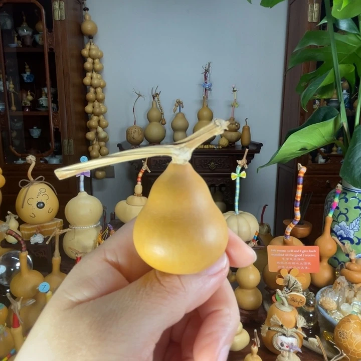 三角墩葫芦厚皮响籽