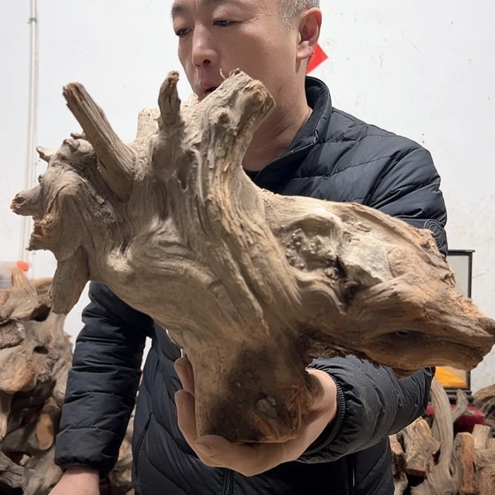 柏木秋*我们的生活也是如此的