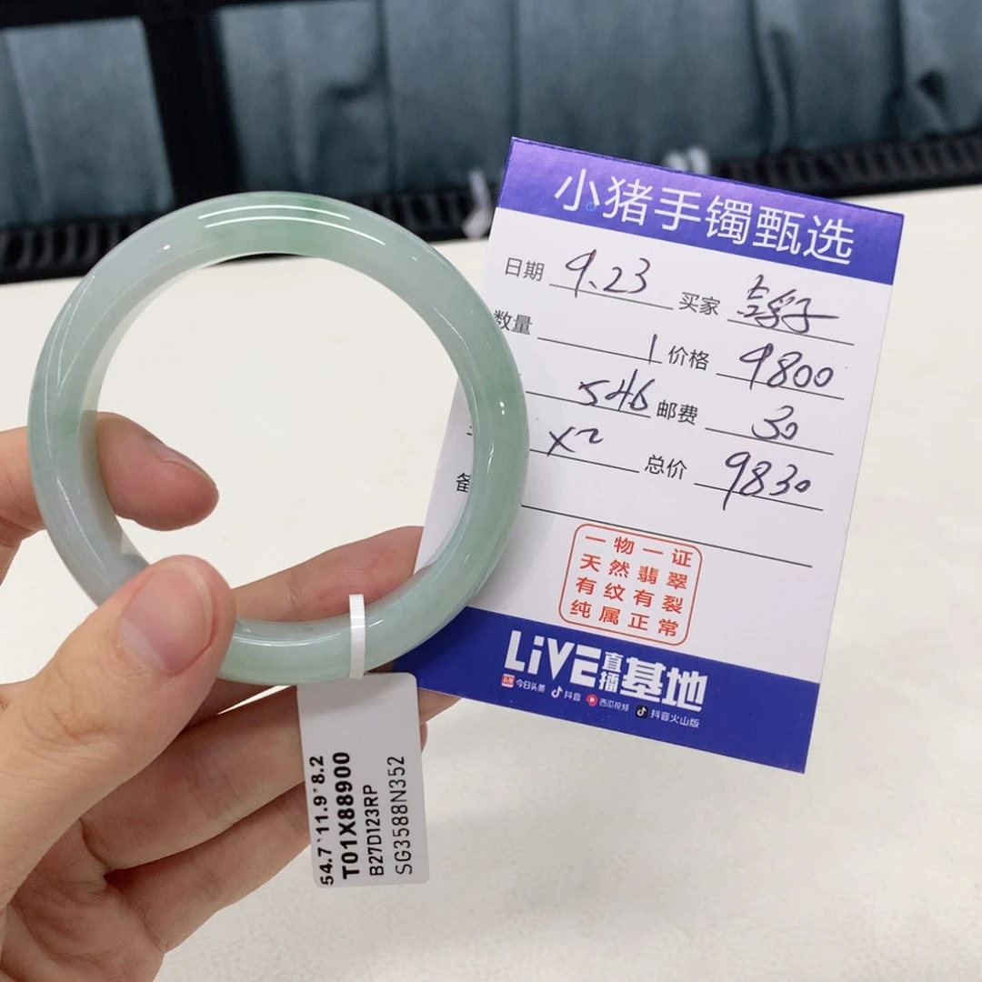 未镶嵌手镯翡翠鸽**舟