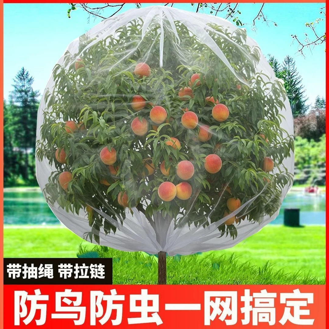 防虫种菜专用80目防虫网加密纱网菜园防护菜地种菜大棚防虫专用网商品图