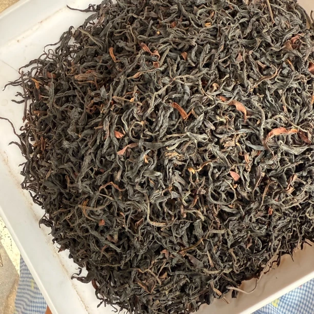 临沧古树晒红 2024年