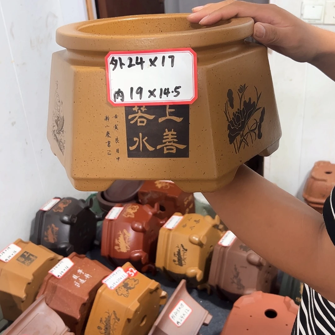 紫砂花盆紫砂花盆