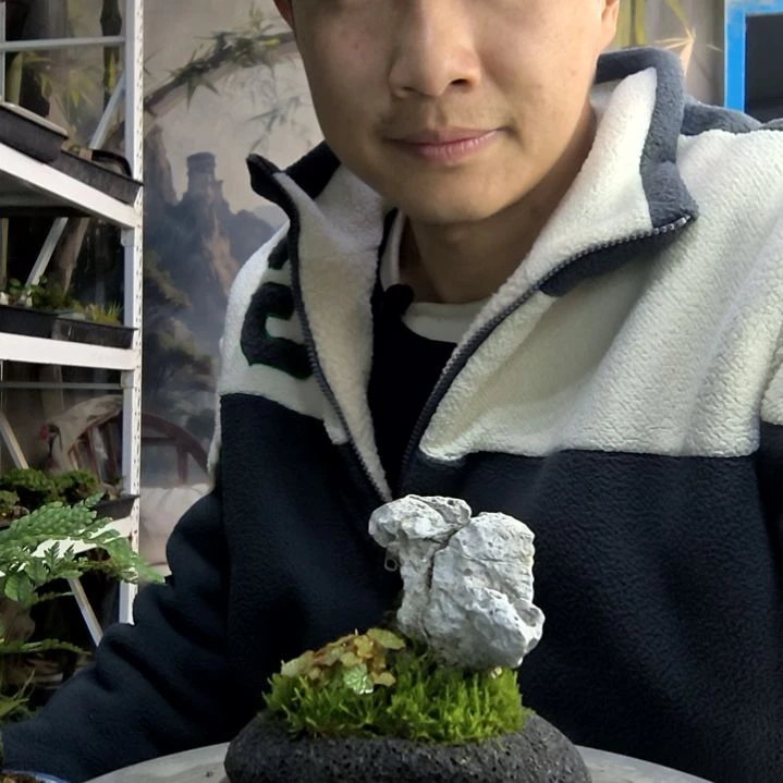 好*小盆景小植物一物一拍283