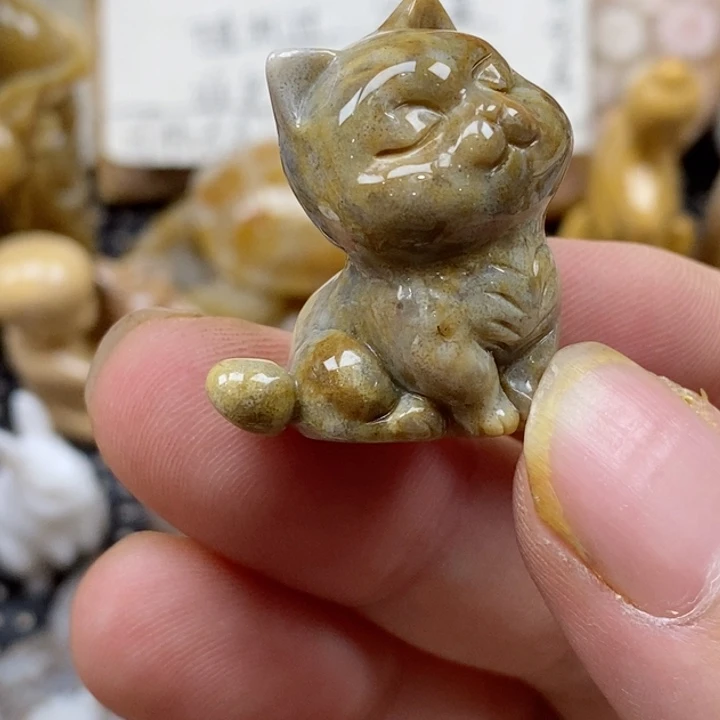颈饰未镶嵌硅化珊瑚（珊瑚玉）