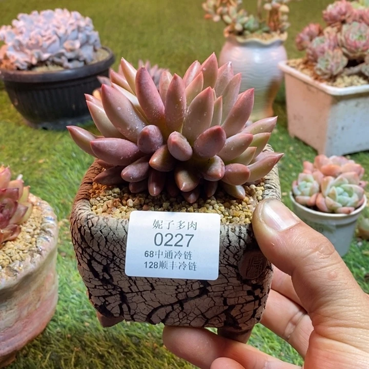 0227啊啊啊啊啊啊啊啊啊啊