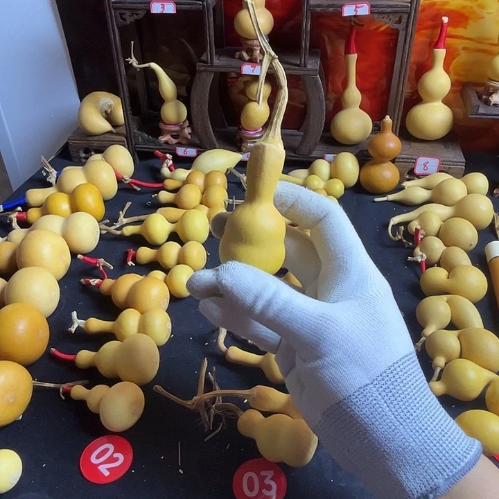 快***！葫芦等各种各样品种