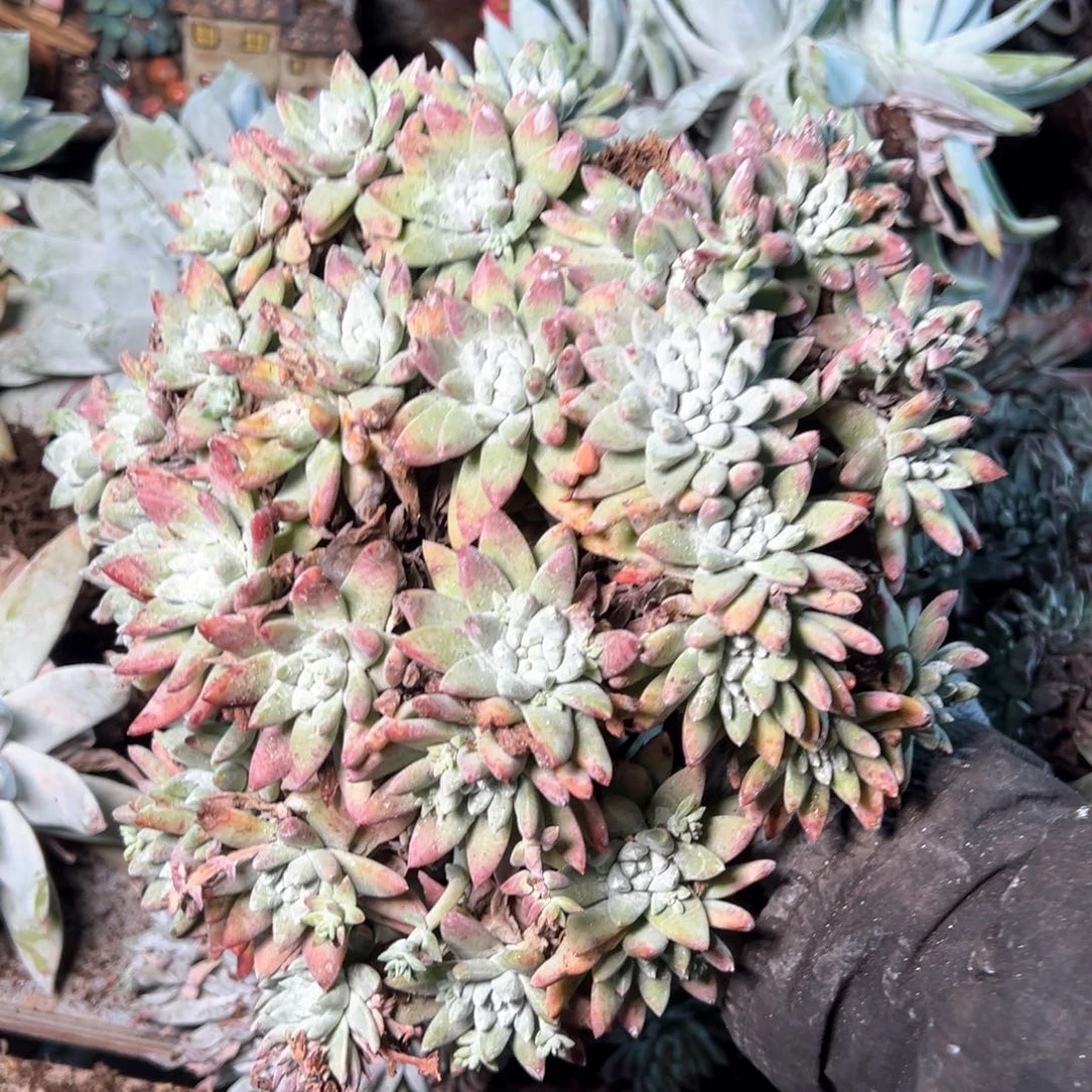 8053哈哈哈哈哈哈哈哈