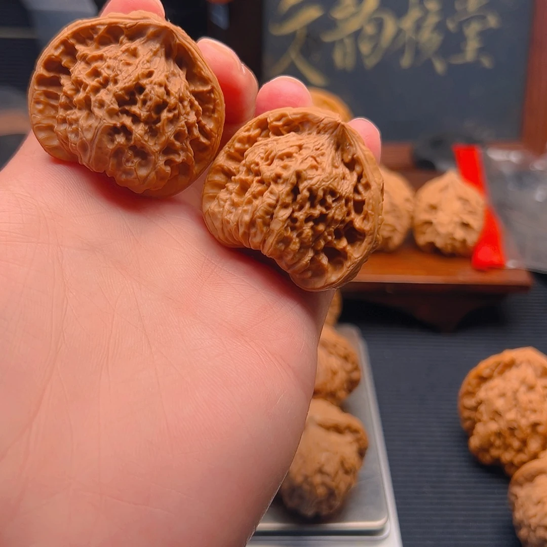 全品无修打底41蛇头