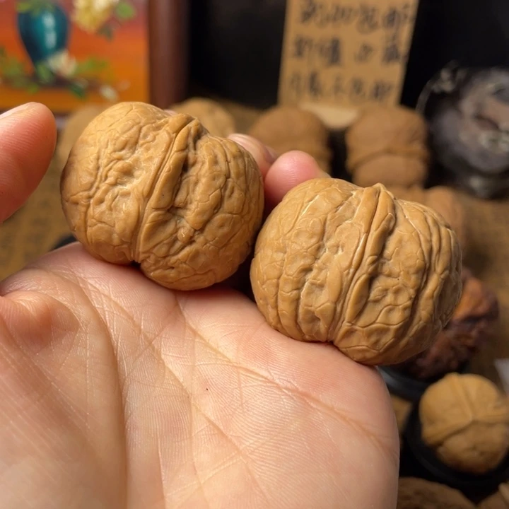 秋***兴云南野生铁核桃编号72