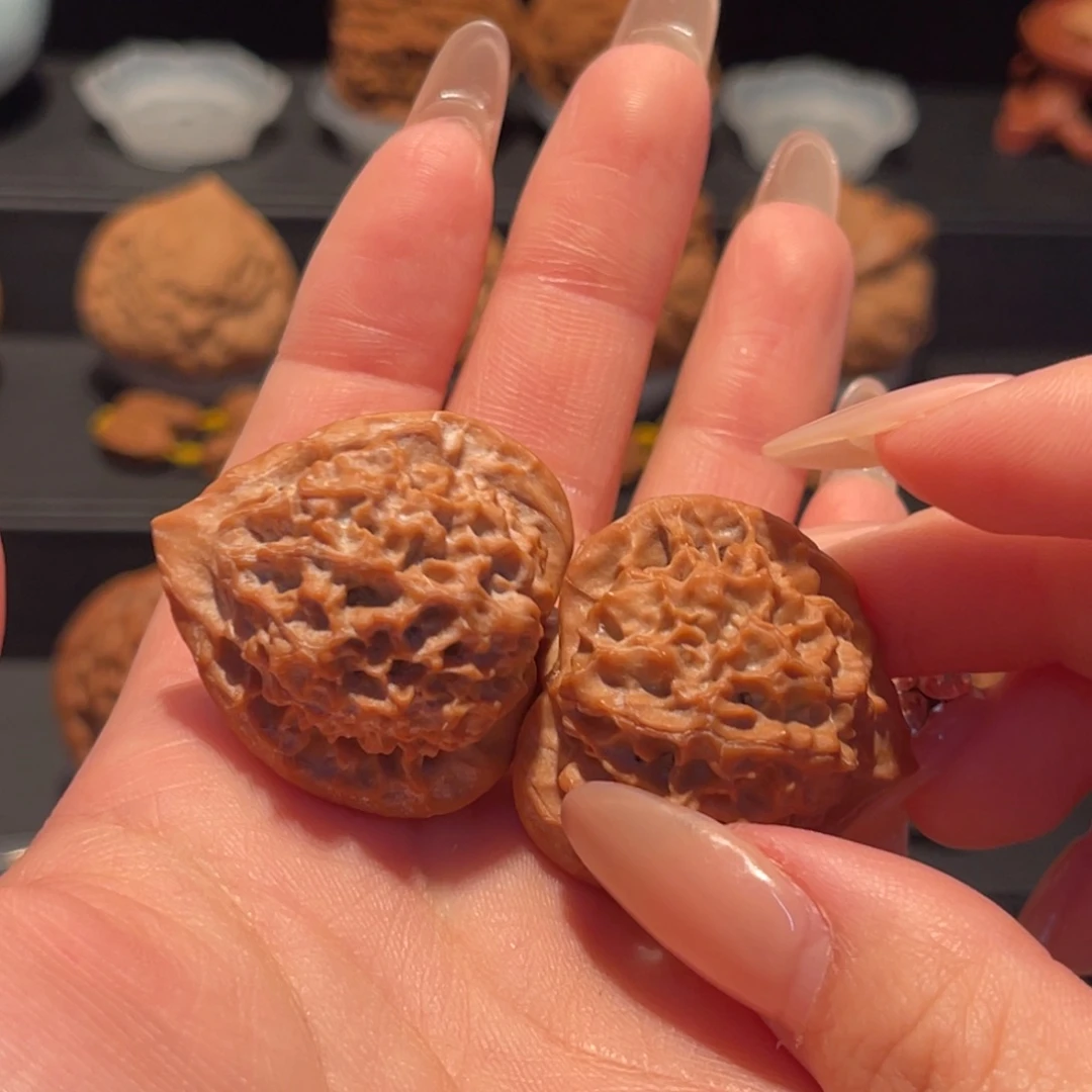 小***七珊 瑚塔，精品，货头