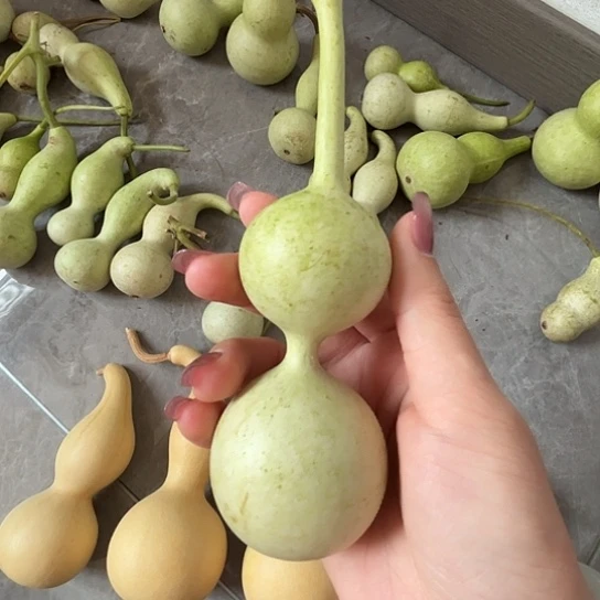 精品葫芦葫芦葫芦123