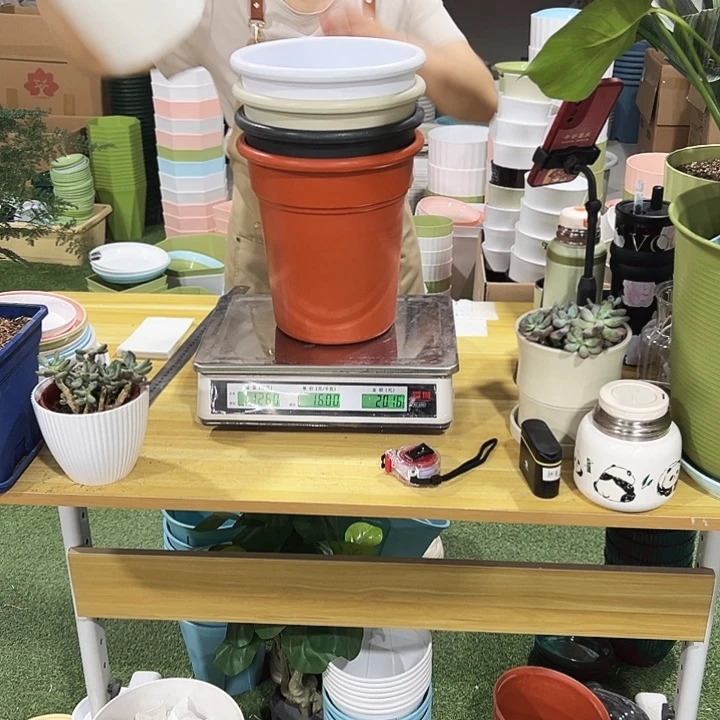 翻边盆口22高24混色无托4只