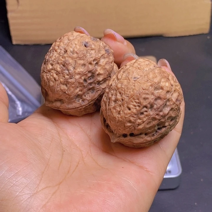 把件文玩核桃   Y19