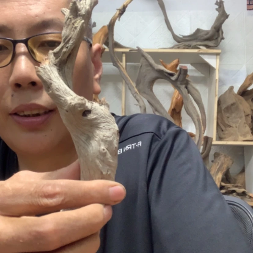 【闪购商品】木**心崖壁之上还有许多美丽