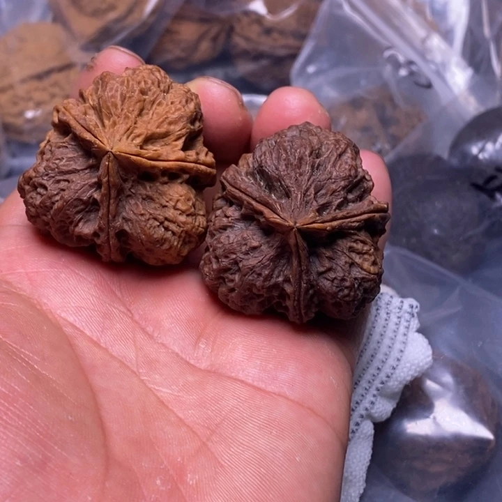 吊坠文玩核桃云南铁核桃炸福利84号