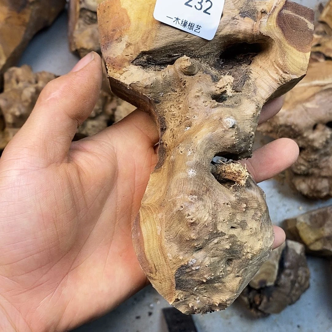 冬***月无花朵00000000000232