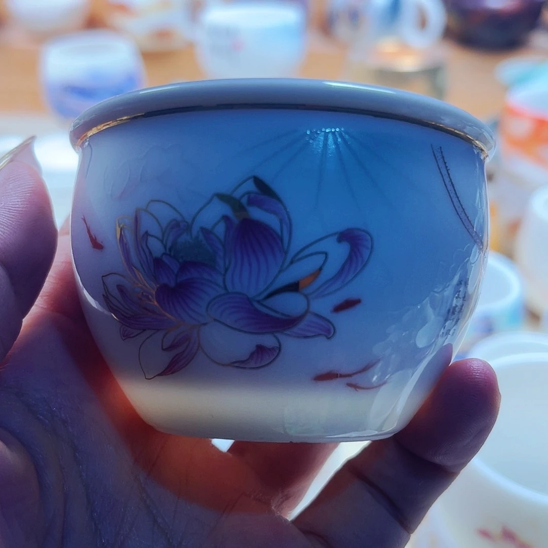 杯主人杯主人杯z人主人不在