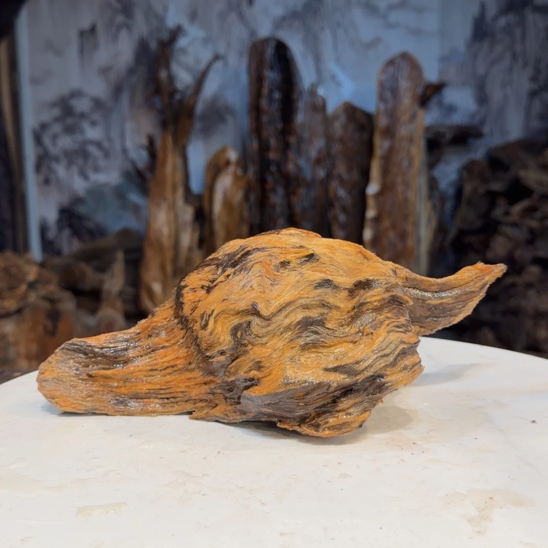 博***范木三丰琥珀木 天然摆件12
