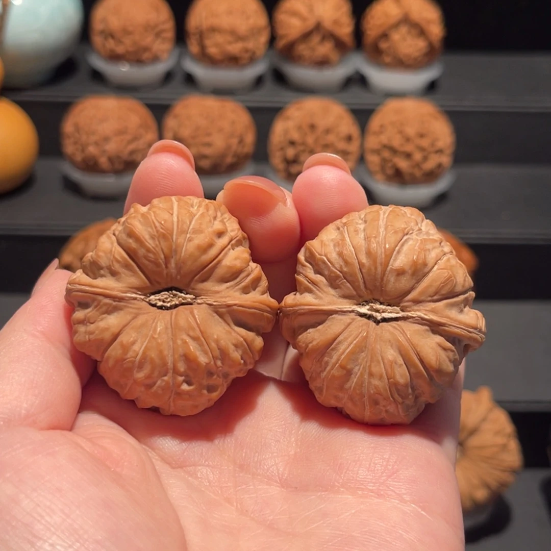 南瓜墩39精品，全品744