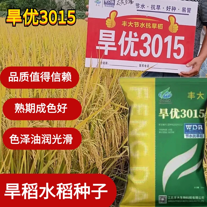 正品原装旱稻水稻种子旱优3015水旱两用节水抗旱稻
