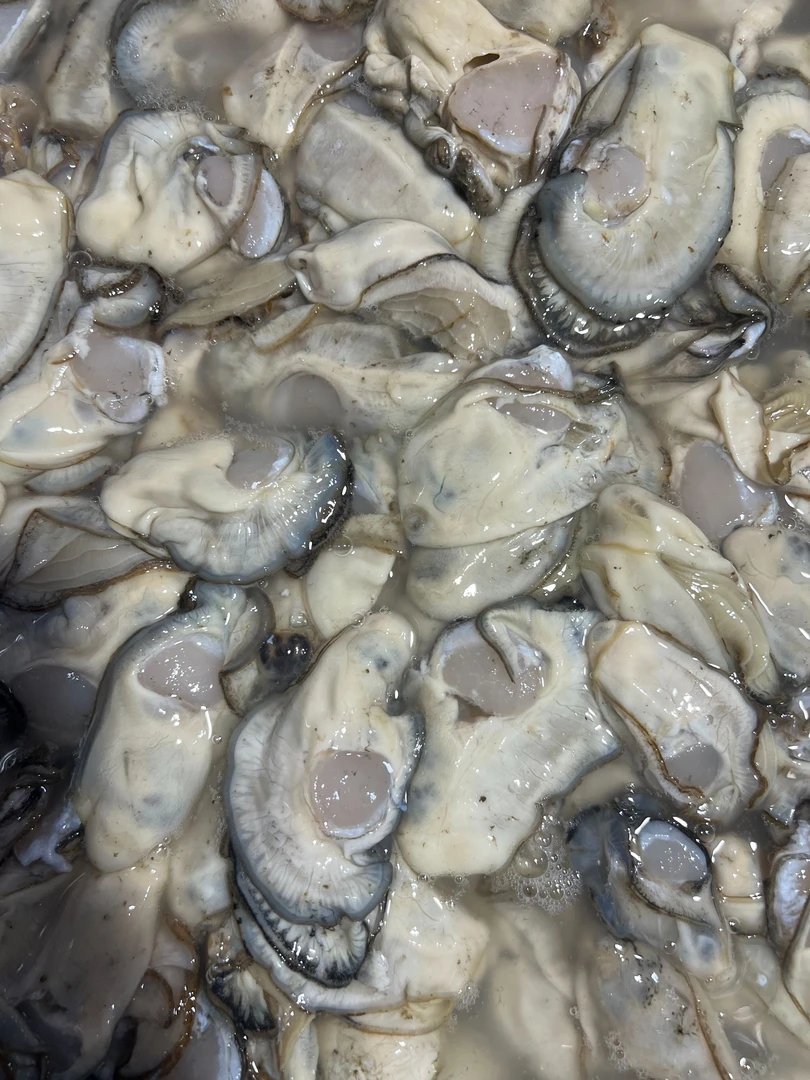 大连杏树屯现扩原浆海蛎肉非生蚝肉2斤顺丰包邮