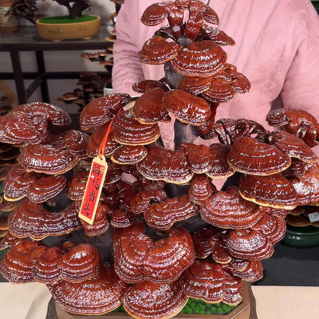 万事如意88888888888