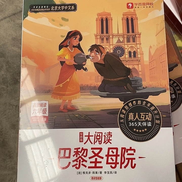 六年级大阅读 巴黎圣母院