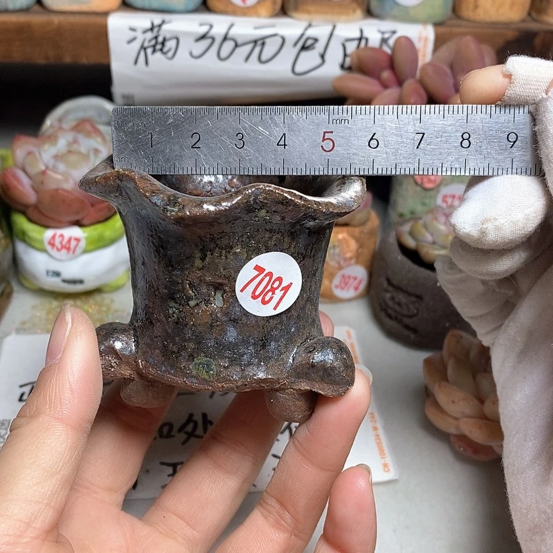 红陶拍5送一个小