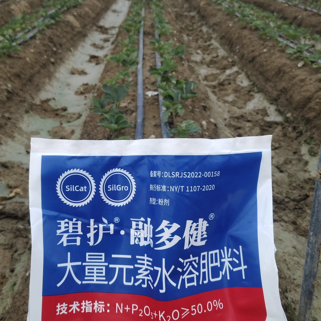 碧护.融多健高磷水溶肥促进根系强化根系促进花芽分化