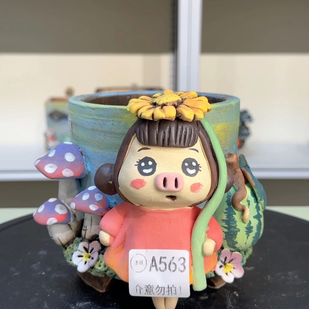 A563 【闪购】多肉花盆
