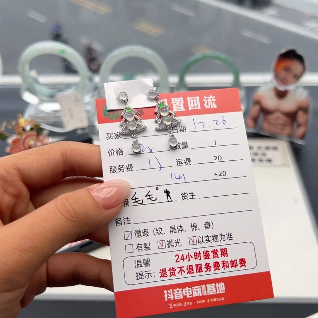 银S925镶嵌翡翠耳饰