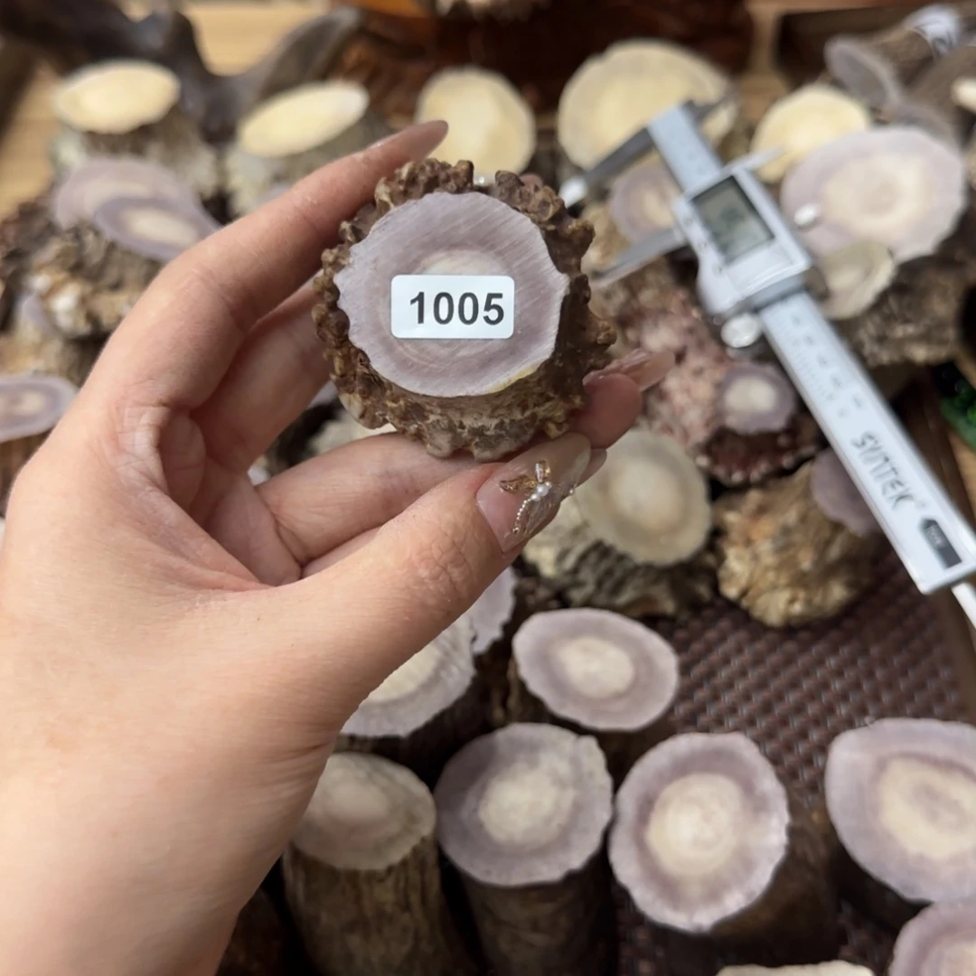 其他鹿骨1005角帽