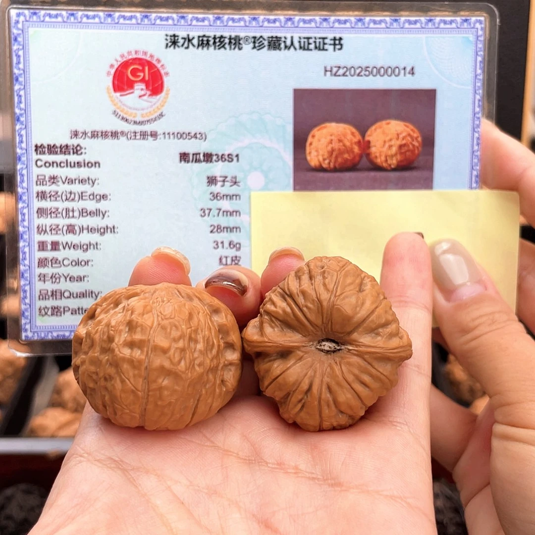 把件文玩核桃36稀有小尺凹底近正肩➕有证书36s1