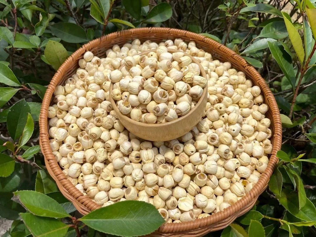 【精选】正宗白莲子大颗粒纯天然