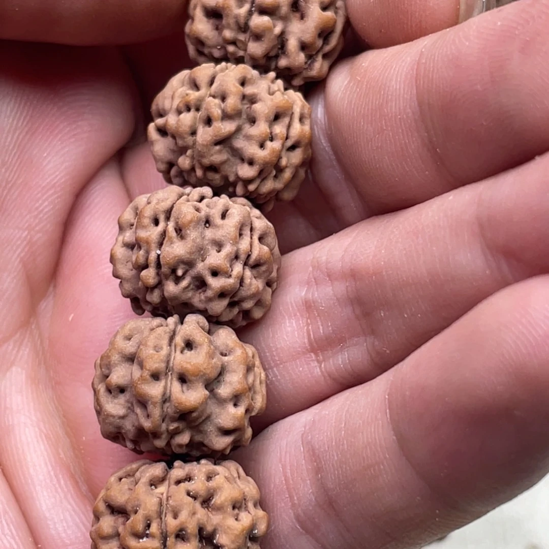 大***超金刚菩提手串1原生态梅花