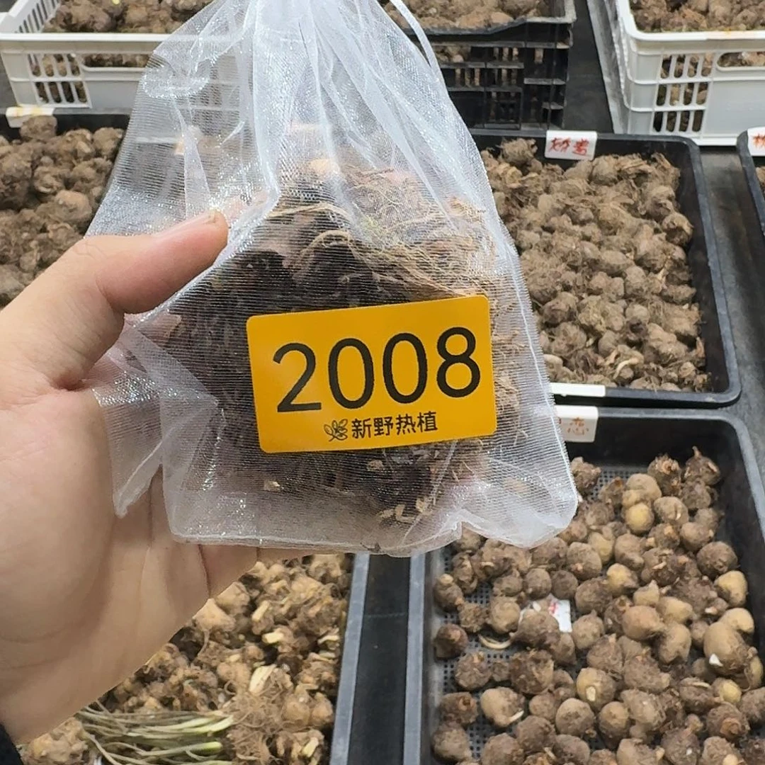 এ***๓完全开放2008粉色飞溅裸球不售后