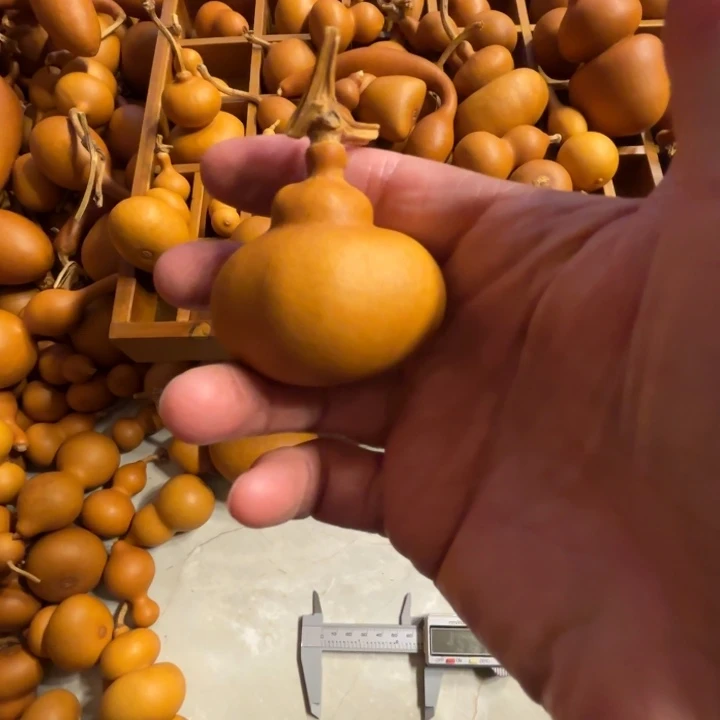 彼***阳来一把钱袋子太阳