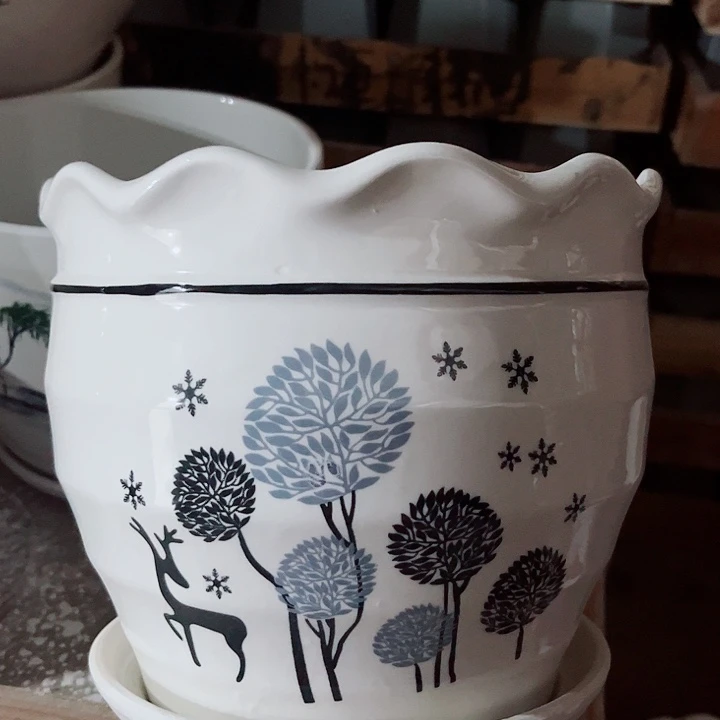 多肉花盆满10元包邮