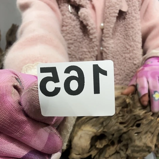 程****坊紫砂的味道很好闻